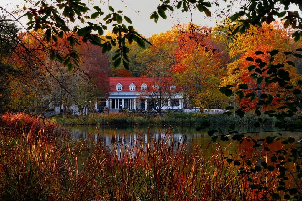 Port Solacz - Resim 10