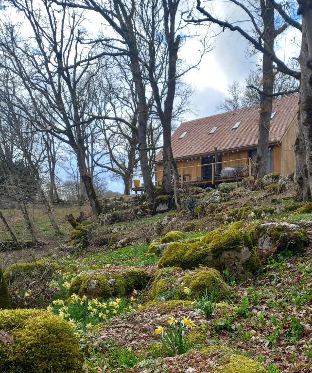 une maison assise au sommet d'une colline avec des arbres dans l'établissement La jonquille, à Gramat