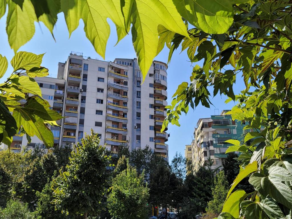 Splendid Apartment - Imazhi 6