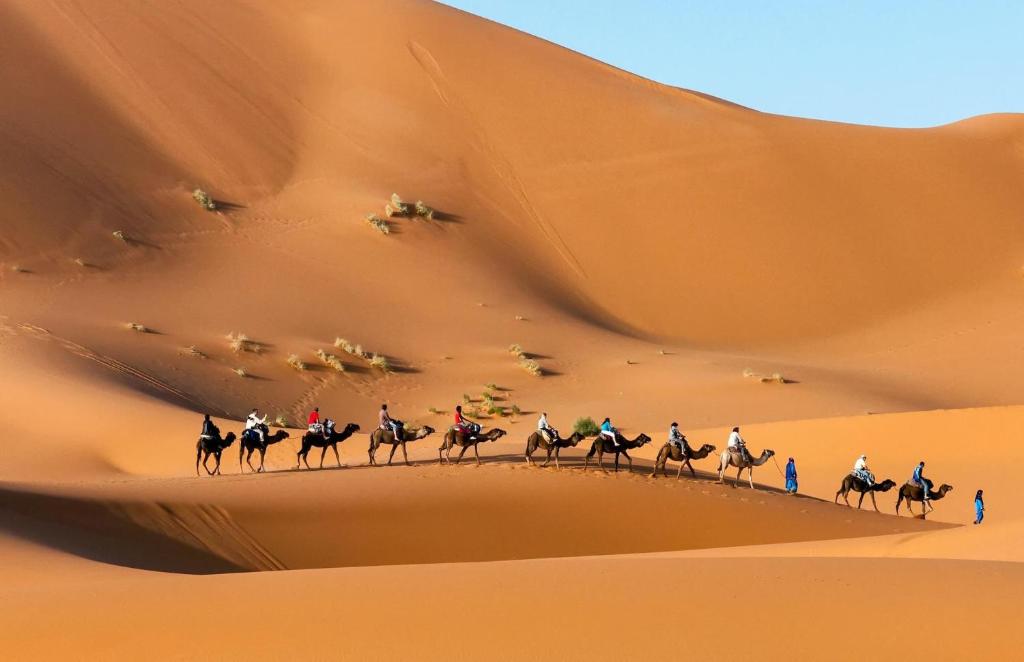 a group of people riding on camels in the desert at Oasis enchantée in Merzouga