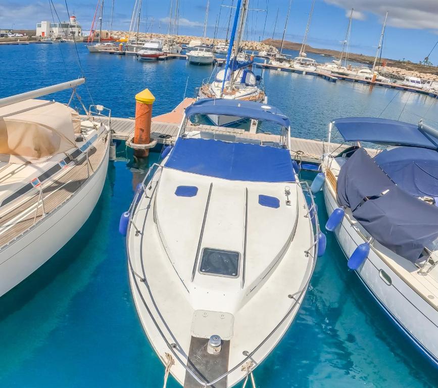 two boats are docked at a dock at EVASION in San Miguel de Abona