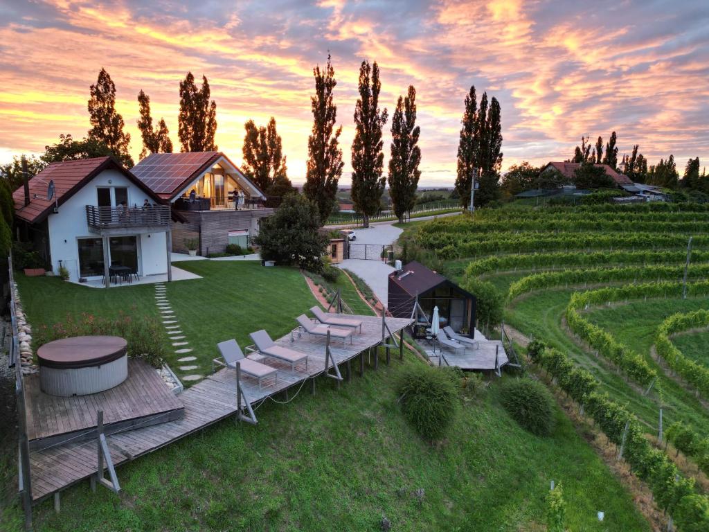 an aerial view of a house with chairs and a vineyard at Terasse Jeruzalem Apartments in Hermanci