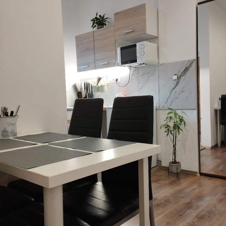 Kuchyň nebo kuchyňský kout v ubytování Apartmány 77