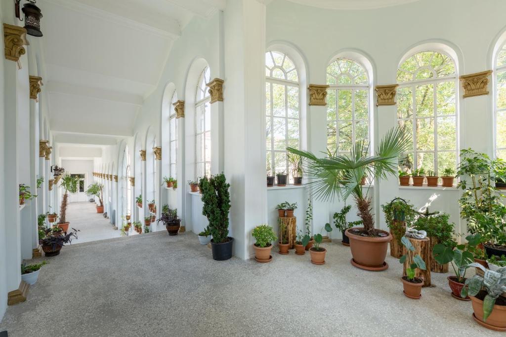 Zahrada ubytování Legends Tskaltubo Spa Resort