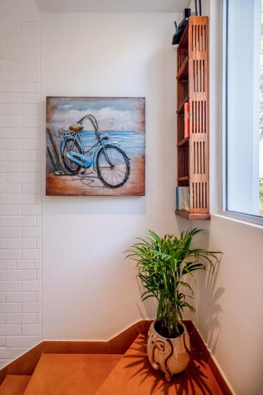 Fotografie z fotogalerie ubytování El Rocio Estate 2bhk in Assagao 8 min away from Vagator v destinaci Assagao