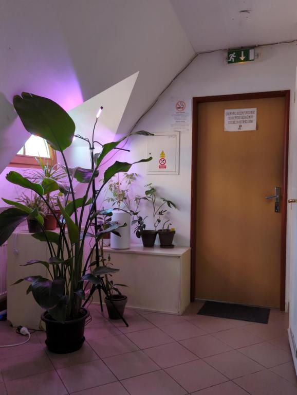 Fotografie z fotogalerie ubytování Hostel John Galt v destinaci Brno