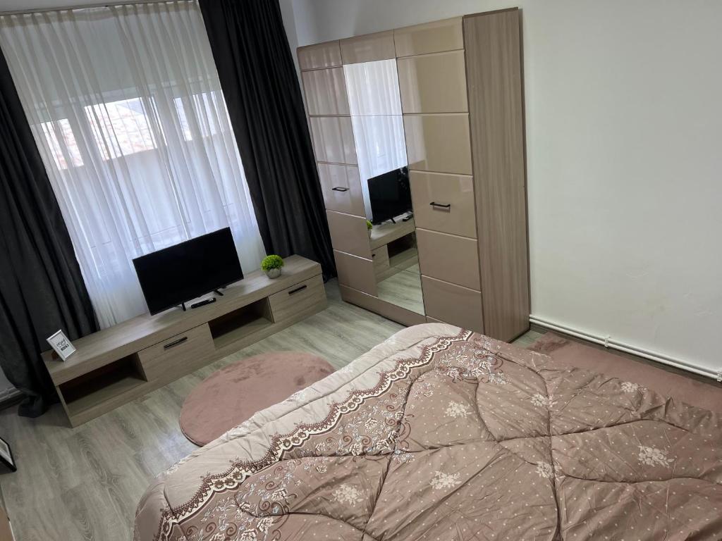 a bedroom with a large bed and a mirror at Luana & Priam home in Petrila