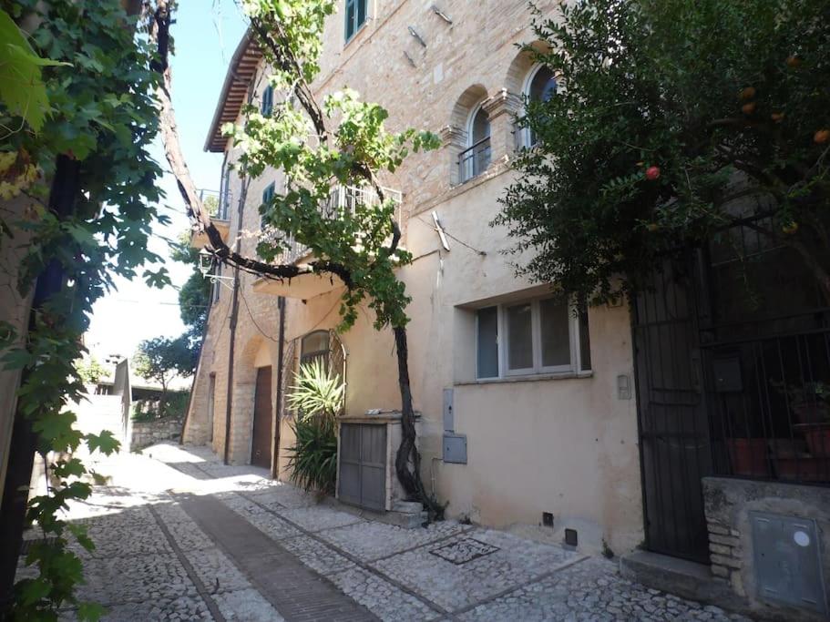 um beco com um edifício e uma árvore ao lado em La vecchia vite casa vacanze em Trevi