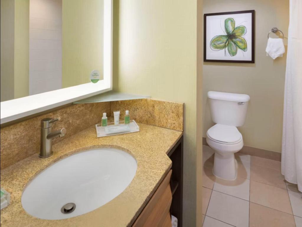Holiday Inn San Jose-Silicon Valley, an IHG Hotel - King Suite Avec Bain De Spa - Non-fumeur