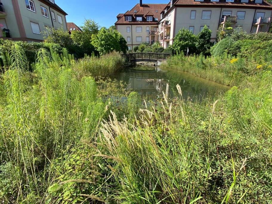 a river with a bridge and some buildings and grass at Taufrische Ferienwohnung Würzburg in Zell am Main