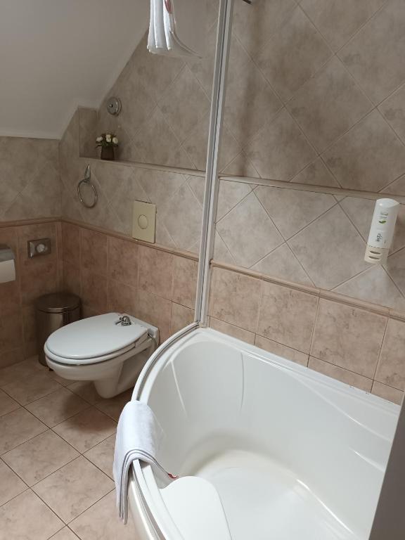 Koupelna v ubytování Pátria Panzió
