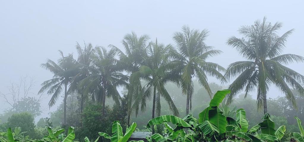 Annahouse - Resim 27