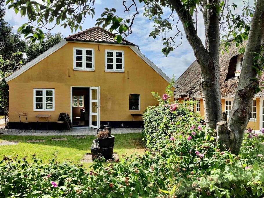 ein gelbes Haus mit einem Baum und einigen Büschen in der Unterkunft Den gamle skomager hytte ved søen in Gråsten