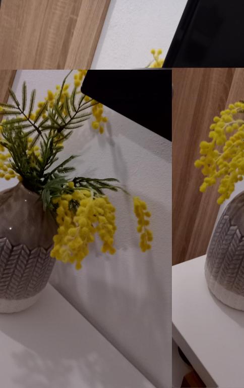 La corte di Angelica - 14