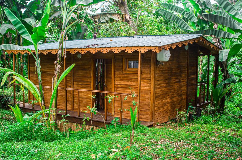 eine Holzhütte inmitten eines Waldes in der Unterkunft ECO-POR in Rio do Ouro