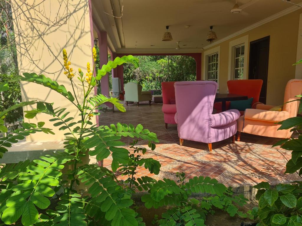 a living room with pink chairs and a table at Botanical Garden 