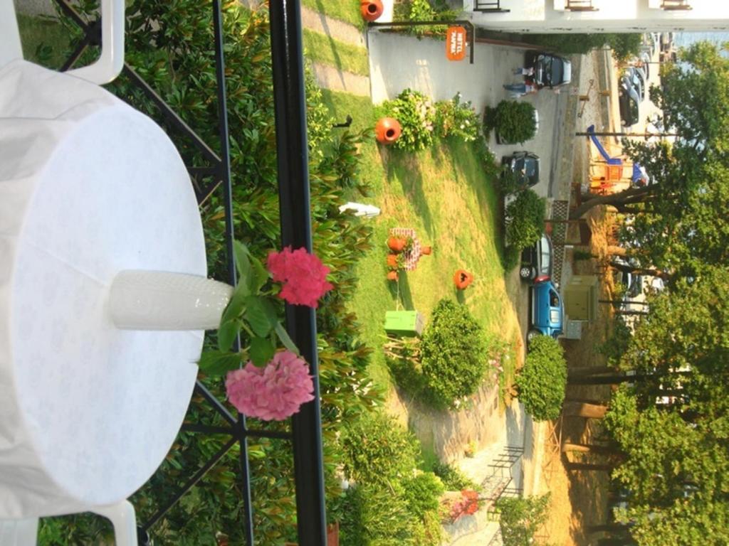 Zahrada ubytování Hotel Marina
