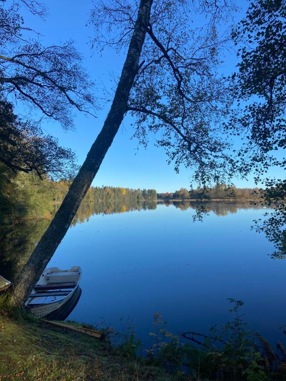 a boat sitting on the shore of a lake at Åvillan - River house in Lagan