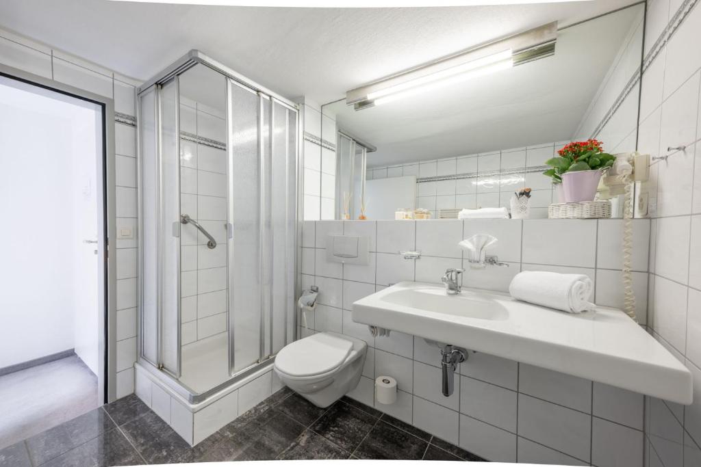 Koupelna v ubytování Hotel Alpina