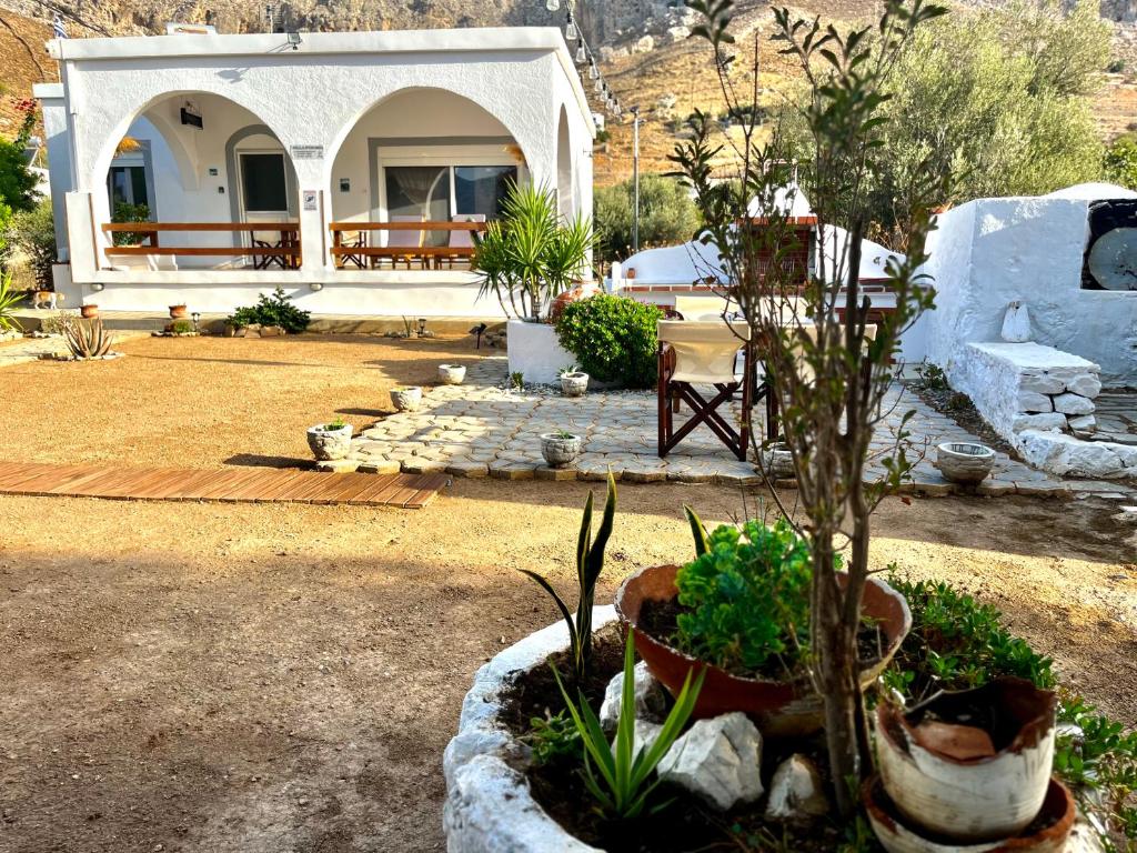 A garden outside Villa Evdokia