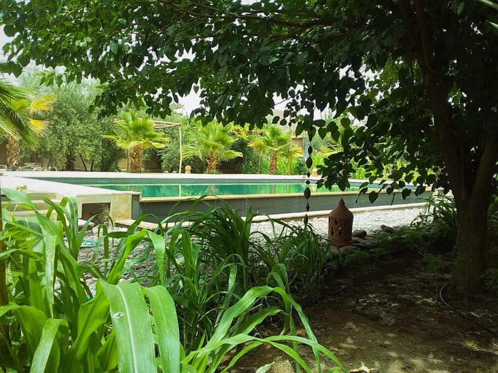 une piscine avec un banc et une bouche de feu dans l'établissement RIAD AMAN SKOURA, à Skoura