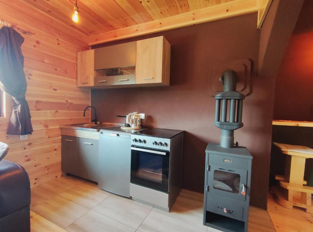 Kuchyň nebo kuchyňský kout v ubytování Stone Lodge 3