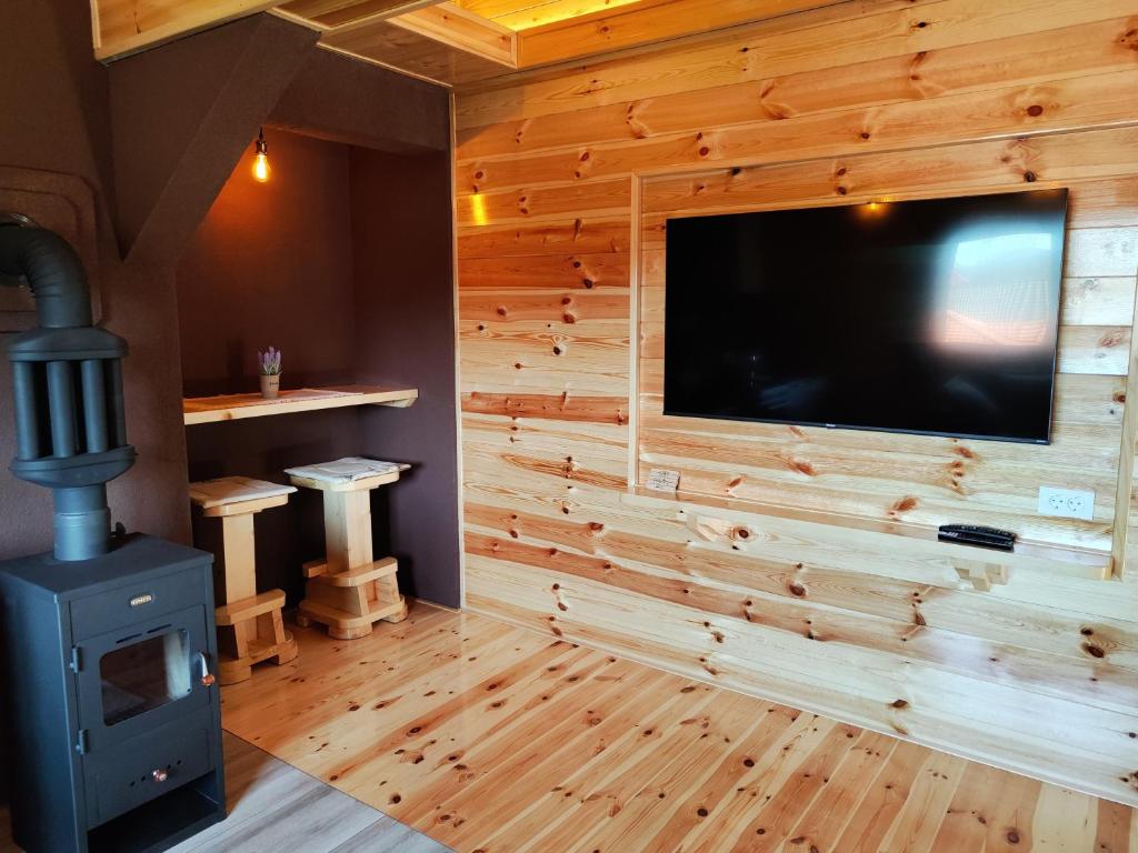 TV a/nebo společenská místnost v ubytování Stone Lodge 3