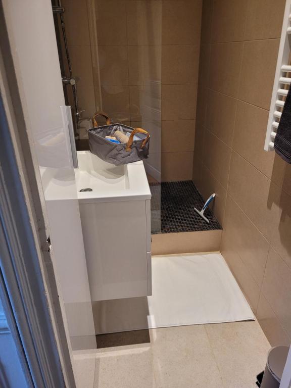 a bathroom with a sink and a shower at L&#39;appartement Idéal 4 voyageurs in Boulogne-Billancourt