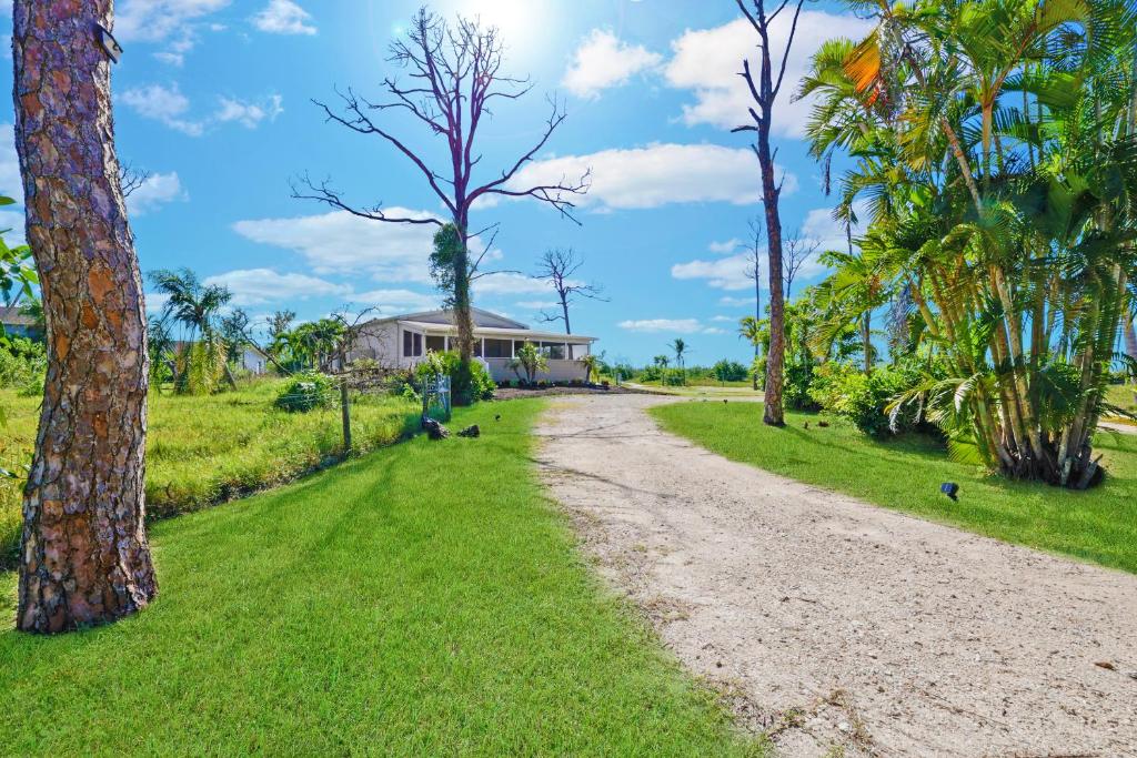a dirt road in front of a house with palm trees at Villa Island Retreat, Country house overlooking 13 acres and a small lake in Saint James City