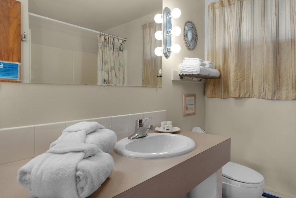 The Tides by the Sea - Studio Avec Vue Sur Mer