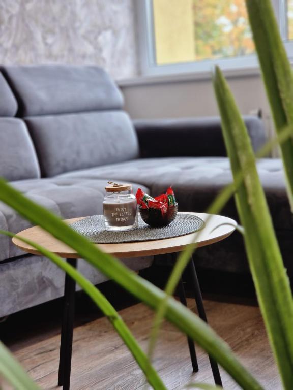 einen Couchtisch im Wohnzimmer mit Sofa in der Unterkunft Malūno apartamentai in Klaipėda