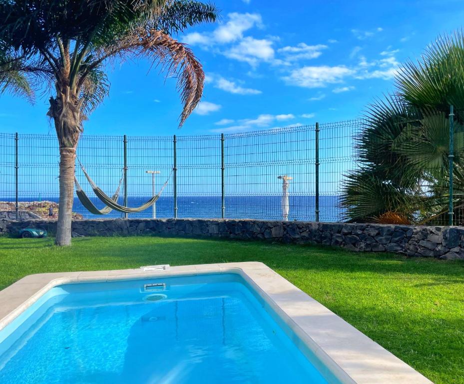 una piscina con una palmera y el océano en Luxury ocean view with private pool Villa de Nava en San Miguel de Abona