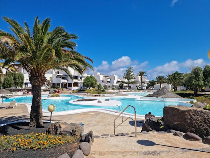 a swimming pool with a palm tree in a resort at Carpe Diem in Costa Teguise