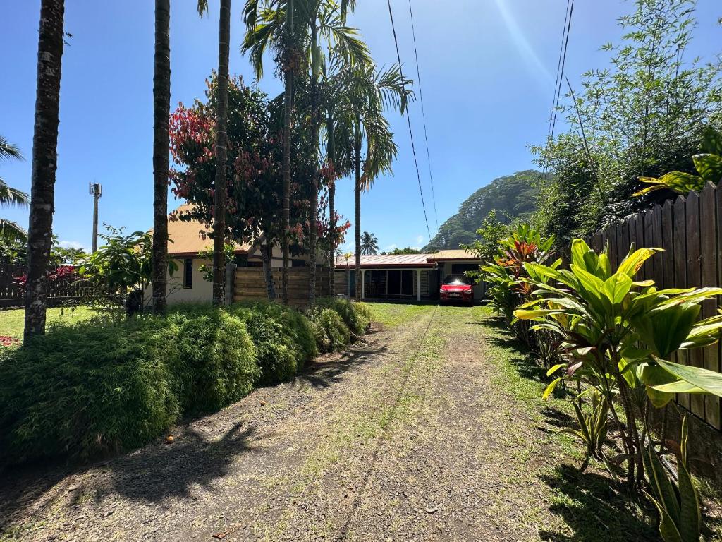 a house with palm trees and a dirt road at GuestHouse PAPEN'S HOUSE 