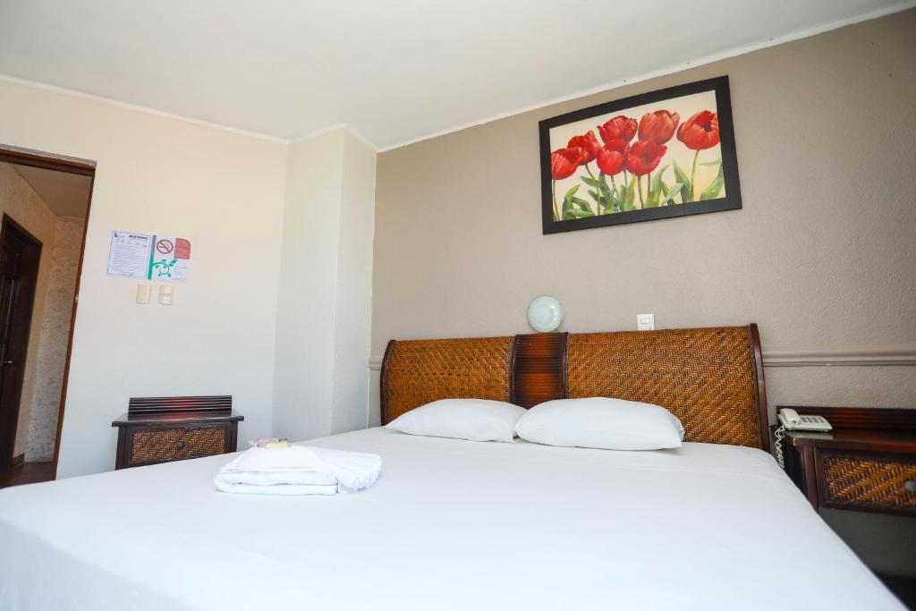 Postel nebo postele na pokoji v ubytování Hotel Parador