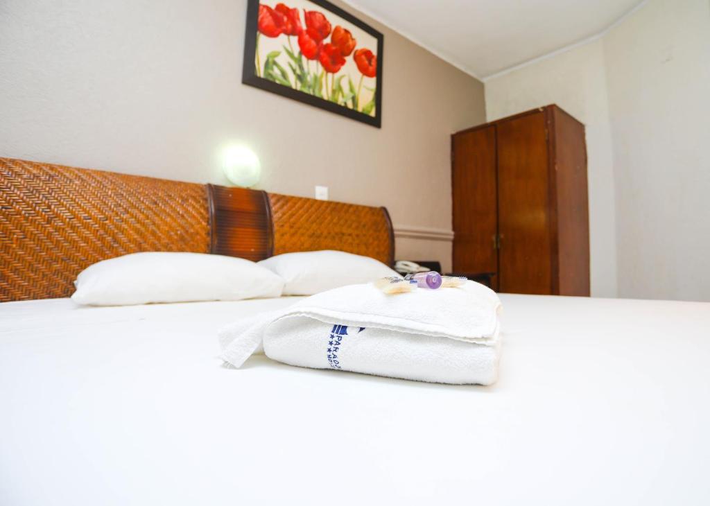 Postel nebo postele na pokoji v ubytování Hotel Parador