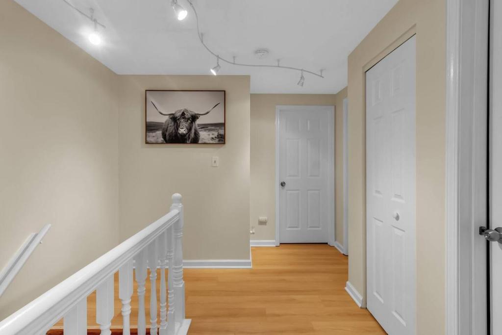 Fotografie z fotogalerie ubytování Downtown & Upscale v destinaci Buffalo
