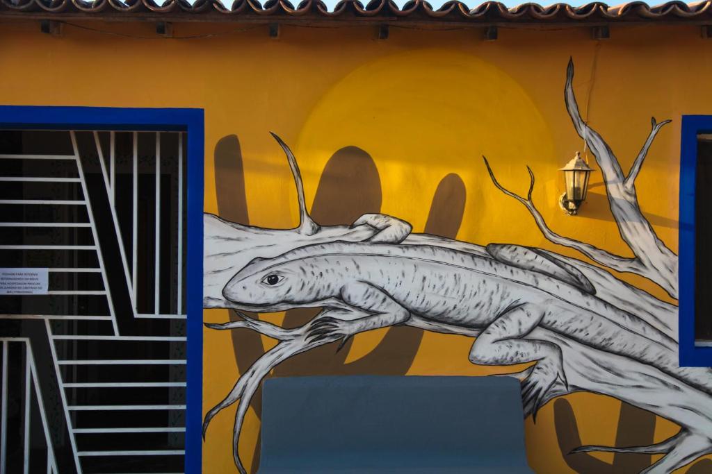 Fotografie z fotogalerie ubytování Calango Hostel v destinaci Ibicoara