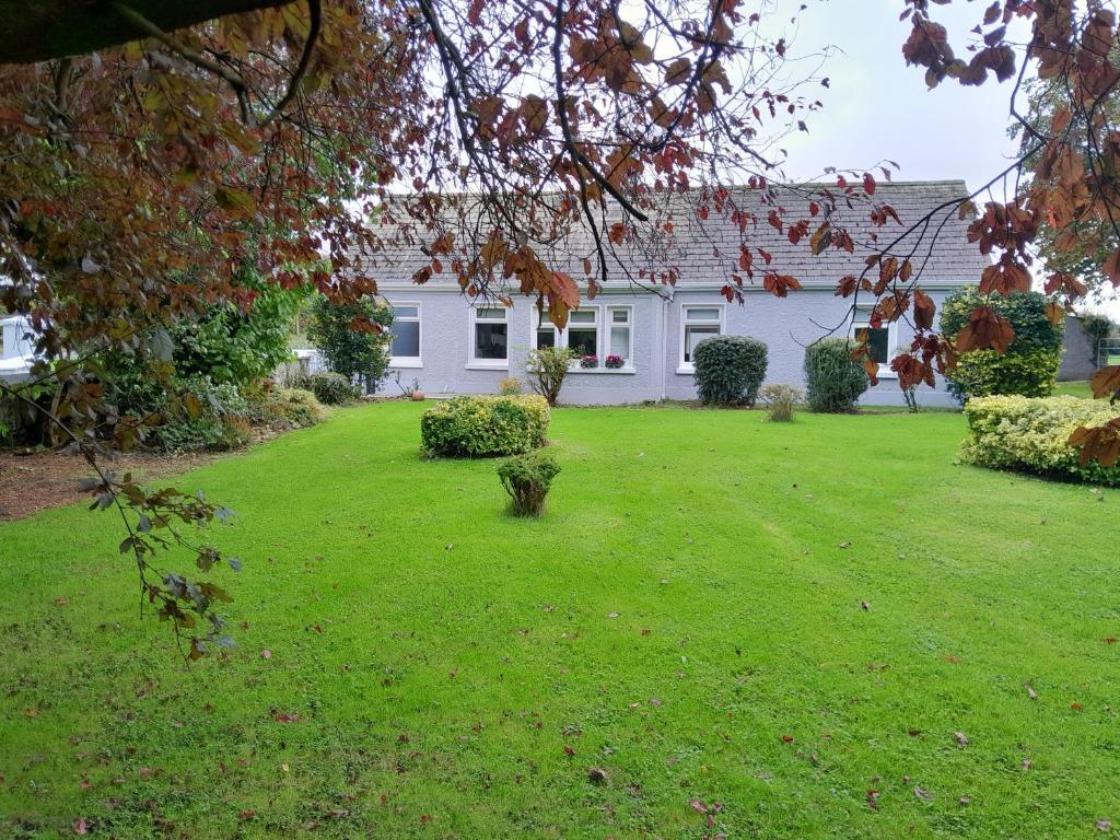 a house with a yard with green grass at Teachín na Siúire 