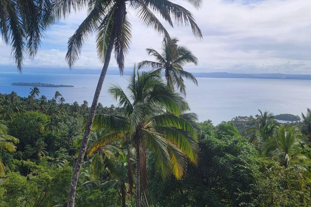 a view of the ocean from a jungle with palm trees at A hidden gem between sea and mountains in Santa Bárbara de Samaná