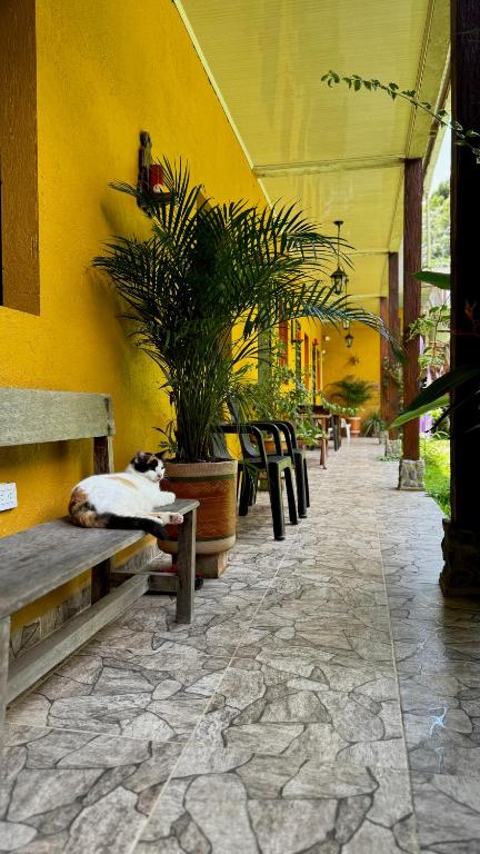 Fotografie z fotogalerie ubytování Posada Turística Rocas De Cabo Marzo v destinaci Bahía Solano