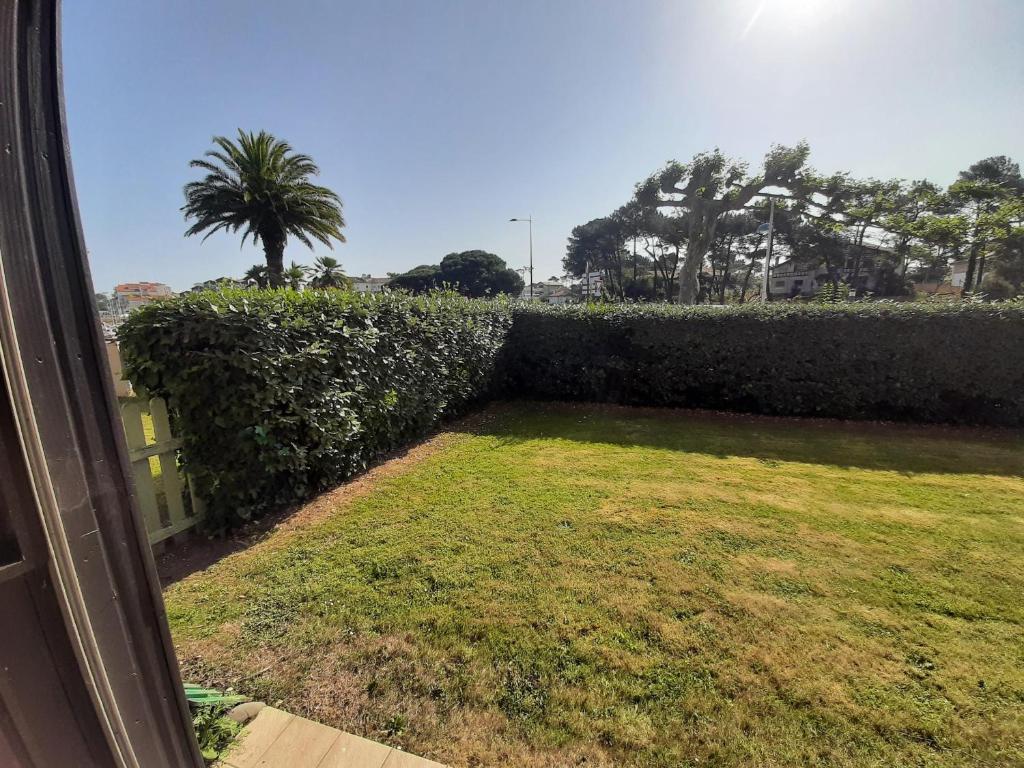 una vista desde una ventana de un patio con un seto en Appartement Capbreton, 2 pièces, 4 personnes - FR-1-239-987, en Capbreton