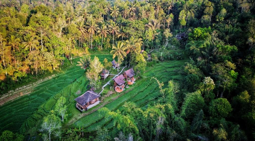 Oemah Tepi Sawah - 18