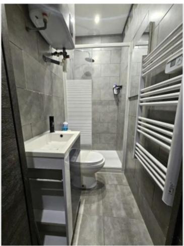 une petite salle de bain avec toilettes et lavabo dans l'établissement Appartement 2 pièces a louer, à Saint-Denis