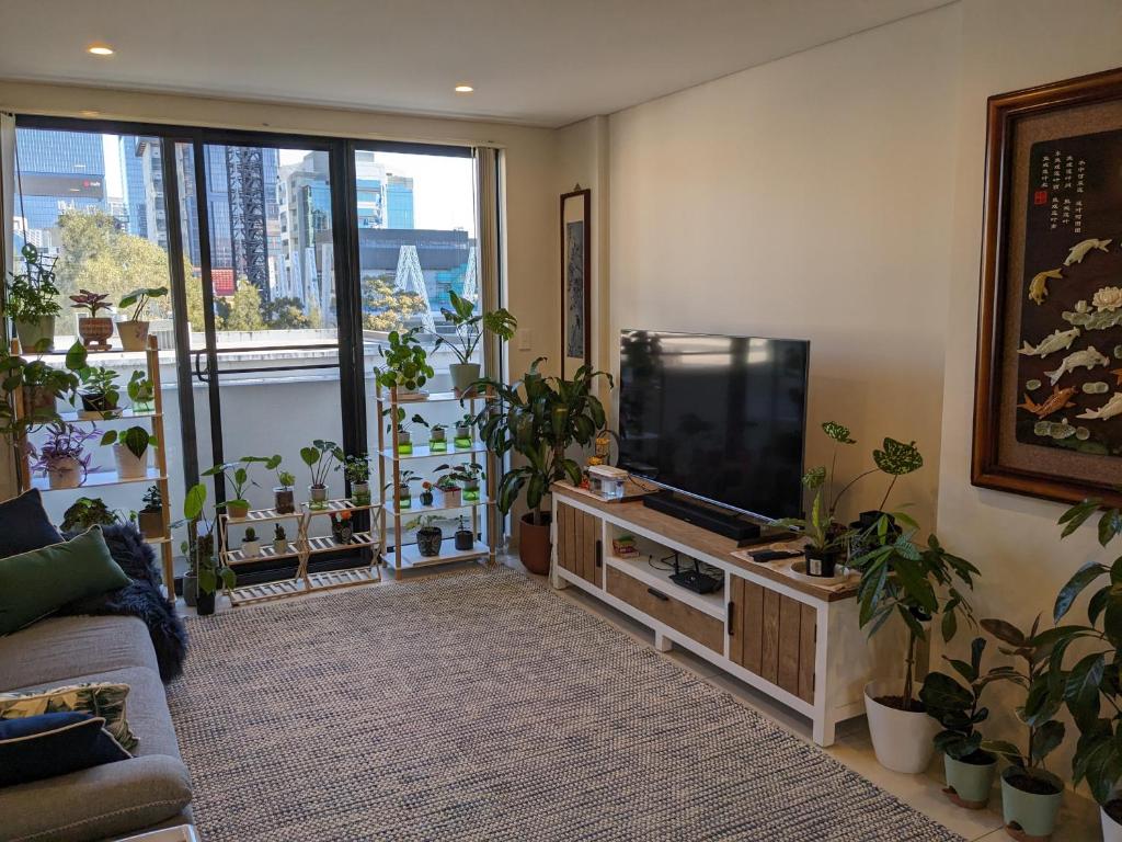 ein Wohnzimmer mit Topfpflanzen und einem Flachbild-TV in der Unterkunft Shared Bright and Cozy Room in Parramatta CBD - close to everything in Sydney