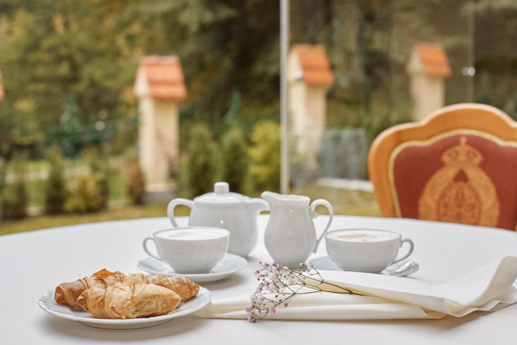 Spa Hotel Villa Ritter - 10