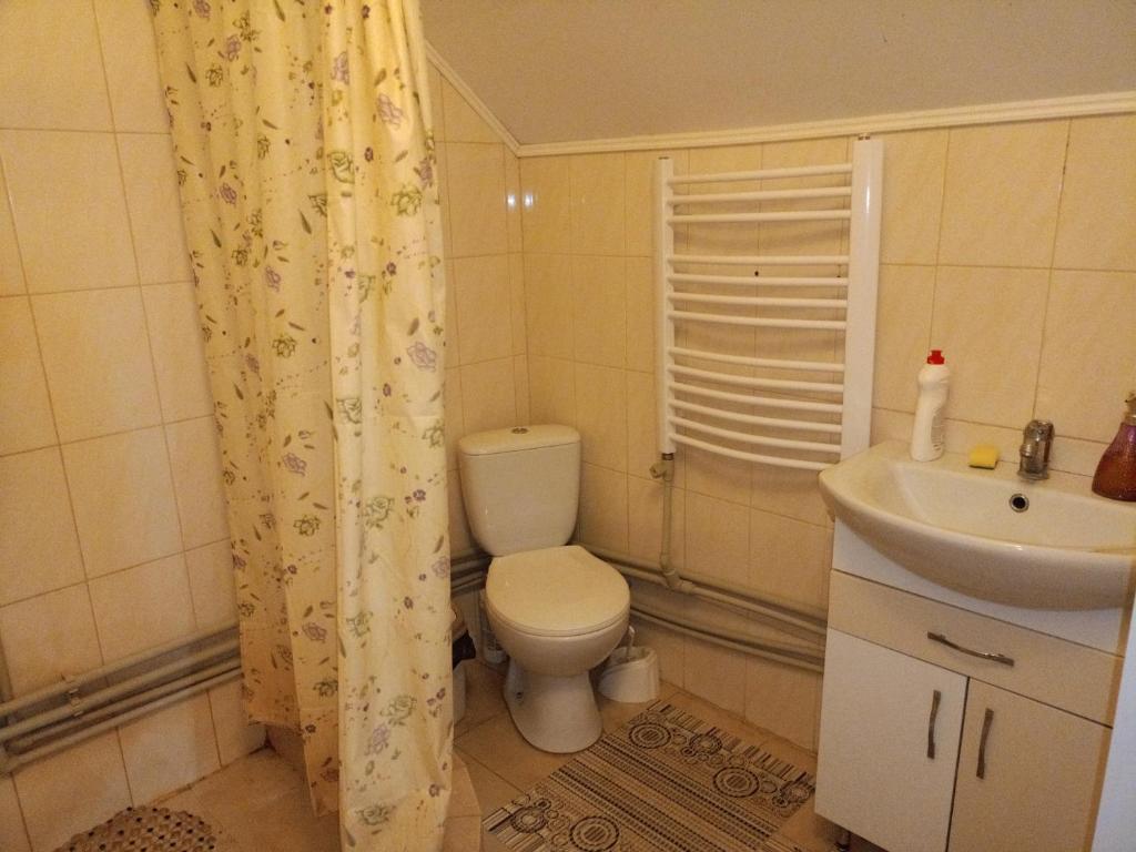 bagno con servizi igienici e lavandino di "Відпочинок в Карпатах" a Izki
