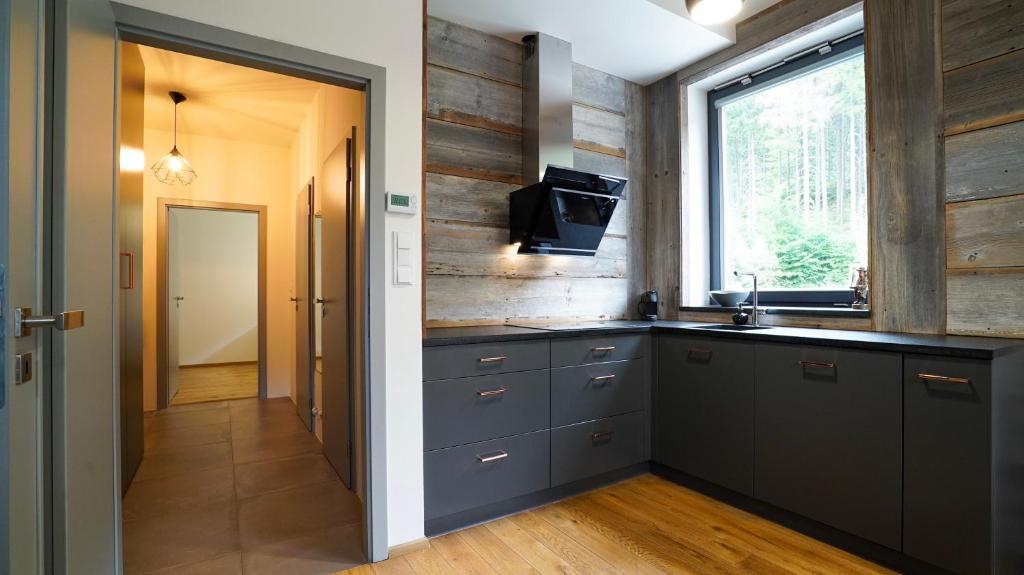 Kuchyň nebo kuchyňský kout v ubytování SKOG HARRACHOV duplex apartment