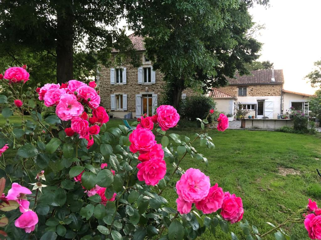 eine Gruppe rosa Rosen vor einem Haus in der Unterkunft Maison Piffou in Malaussanne