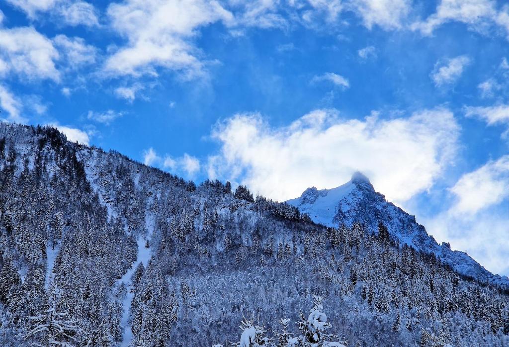 une montagne recouverte de neige avec un ciel bleu dans l'établissement White Pearl Vue Mont Blanc, à Chamonix-Mont-Blanc